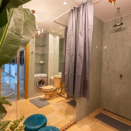 Royal Penthouse Whith Free Parking Apartment Riga