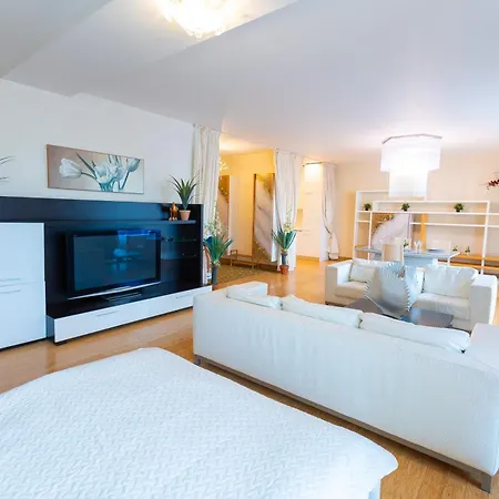 Royal Penthouse Whith Free Parking Apartment Riga