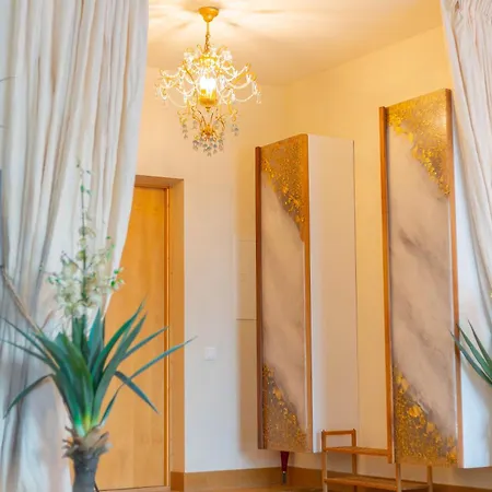 Royal Penthouse Whith Free Parking Apartment Riga